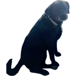 960DB0CF-EC7E-49BE-B5A6-E076C697FA21.png